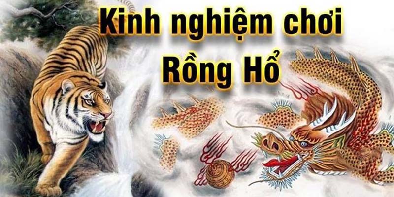 Kinh nghiệm chơi lấy tiền từ nhà cái dễ dàng